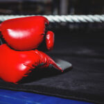 boxing training gloves