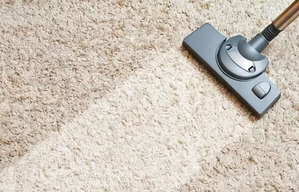 Carpet Cleaning Cost