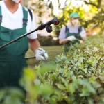 Effective Pest Control in Middletown, CT Total Pest Control's Advanced Solutions