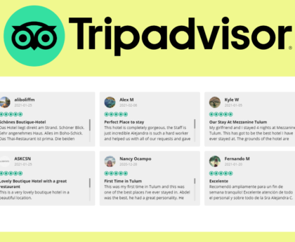 adding Tripadvisor reviews on your website