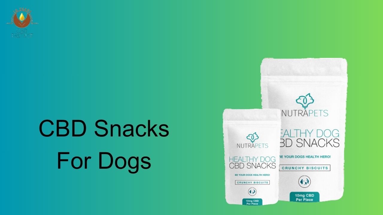 CBD Snacks For Dogs