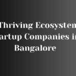 Startup Companies in Bangalore
